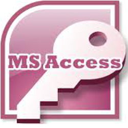 MS Access database developer Fort Collins CO